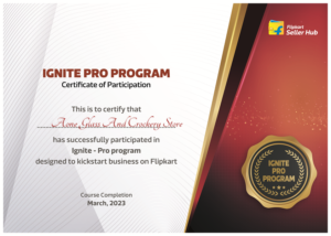 Flipkart Pro Certificate