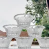 Fantastic Transparent Decorative Glass Bowl Set of 6 – Premium Crystal Centerpiece for Home Decor & Serving 3 fantastic Transparent Decorative Glass Bowl Set of 6